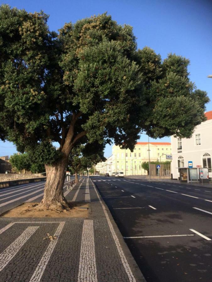 Ap'S Do Forte Ponta Delgada المظهر الخارجي الصورة